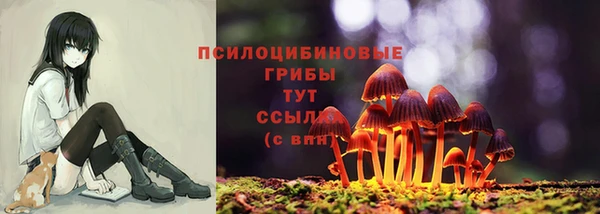 не бодяженный Белокуриха