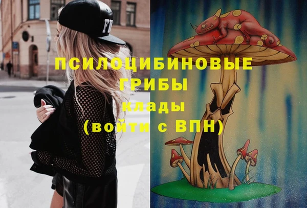2c-b Струнино