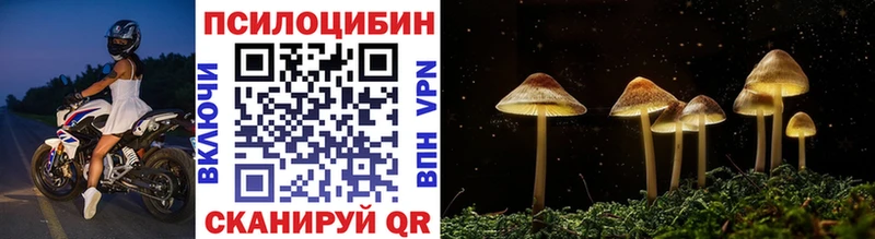 Галлюциногенные грибы GOLDEN TEACHER наркота Волосово